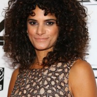 Celebrity Ashley Dyke Dark Brown Curly Hairstyle for Thick Hair